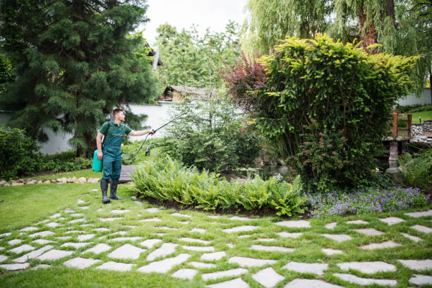 Trusted Twisp, WA Pest Control Experts