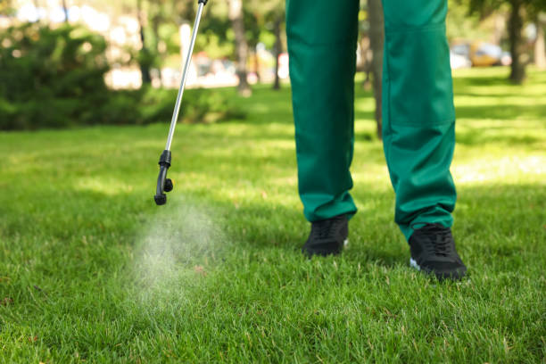 Best Pest Control Near Me in Twisp, WA