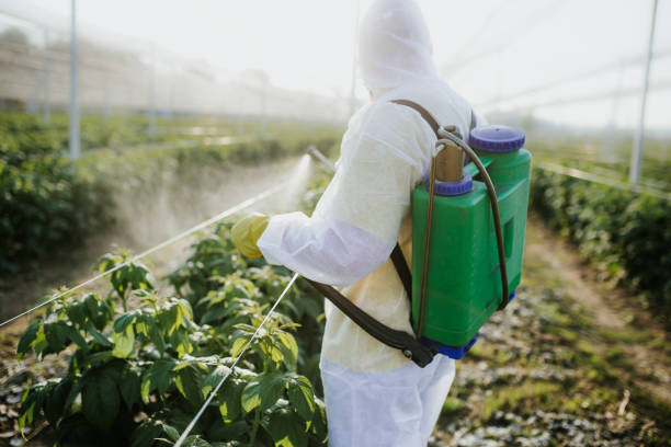 Best Cockroach Control Services  in Twisp, WA